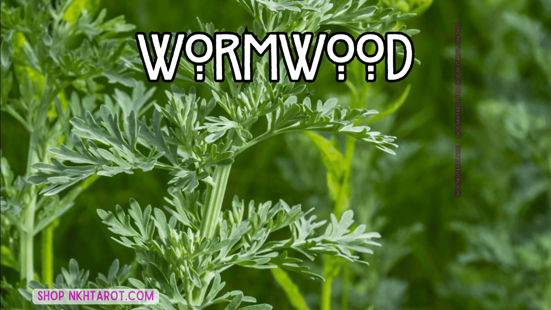 Wormwood: Magical Properties, Ritual Uses, and Spiritual Benefits in Witchcraft