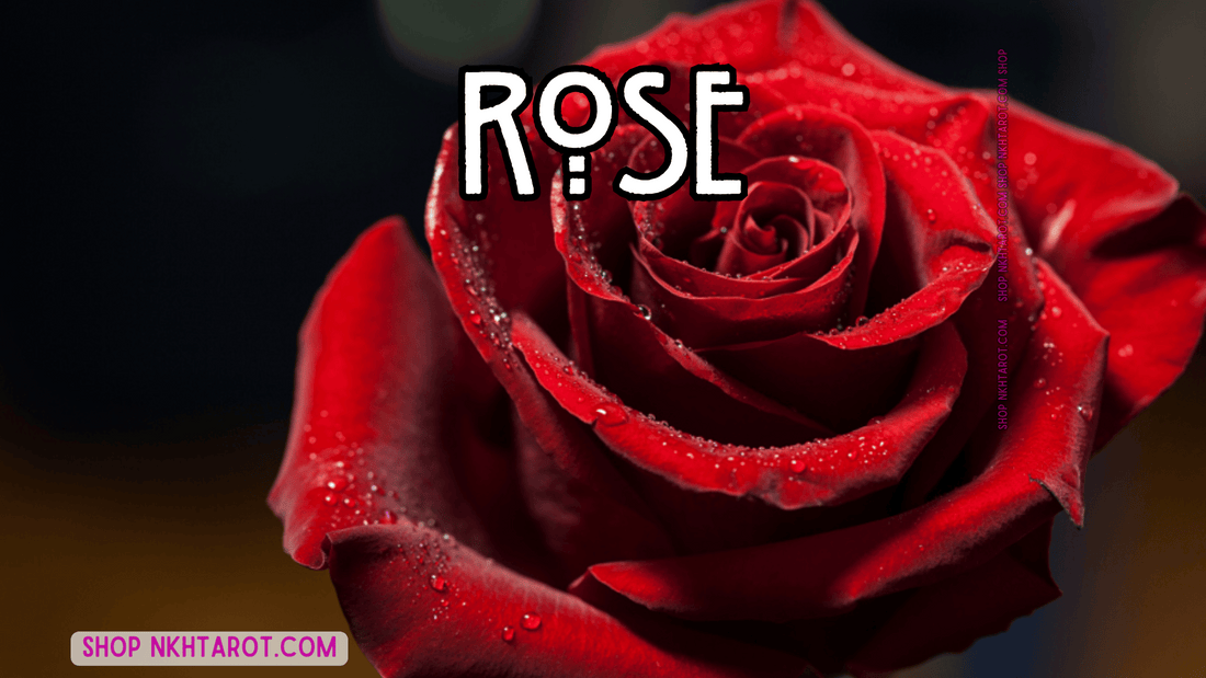 Roses: Magical Properties, Ritual Uses, and Spiritual Benefits in Witchcraft
