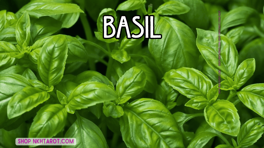 Basil: Magical Properties, Ritual Uses, and Spiritual Benefits in Witchcraft