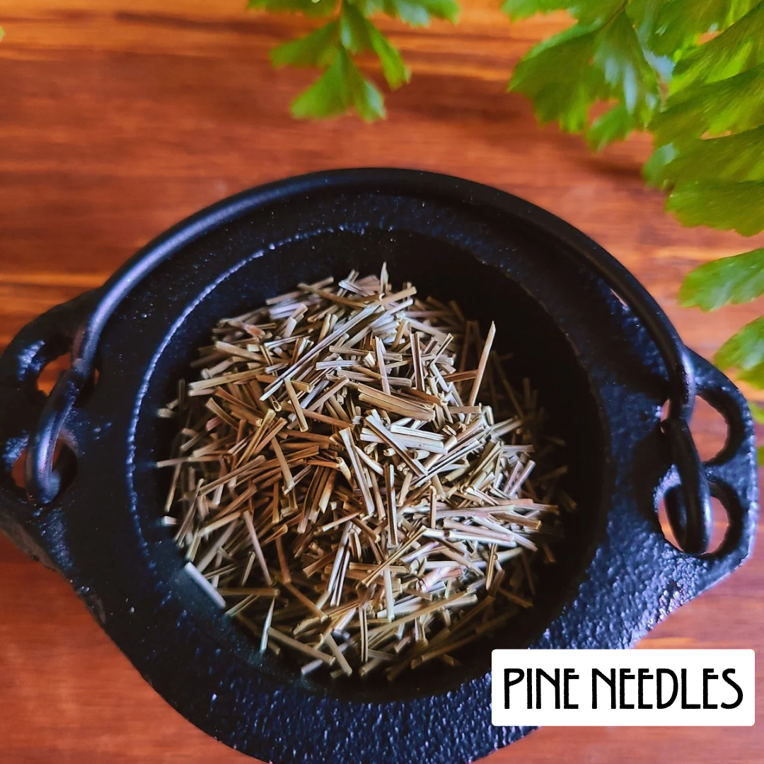 12 Powerful Herbs: Sacred Witch's Protection Kit
