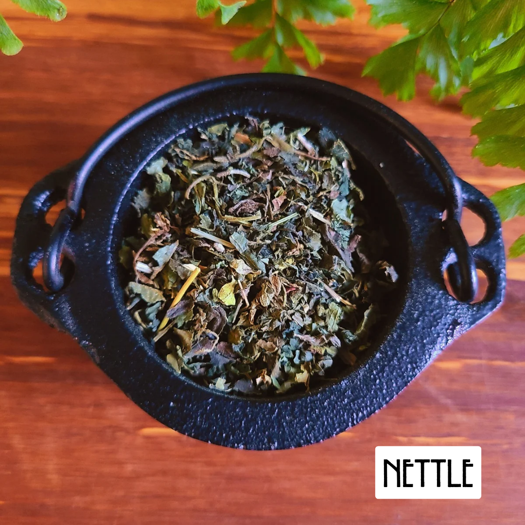 12 Powerful Herbs: Sacred Witch's Protection Kit