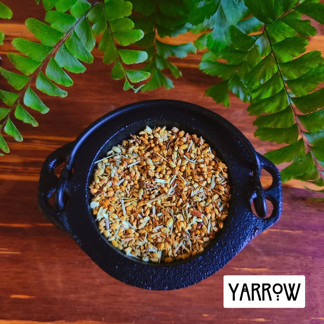 12-Pack Herbs for Love Spells and Rituals | Ignite Romance, Passion, and Connection