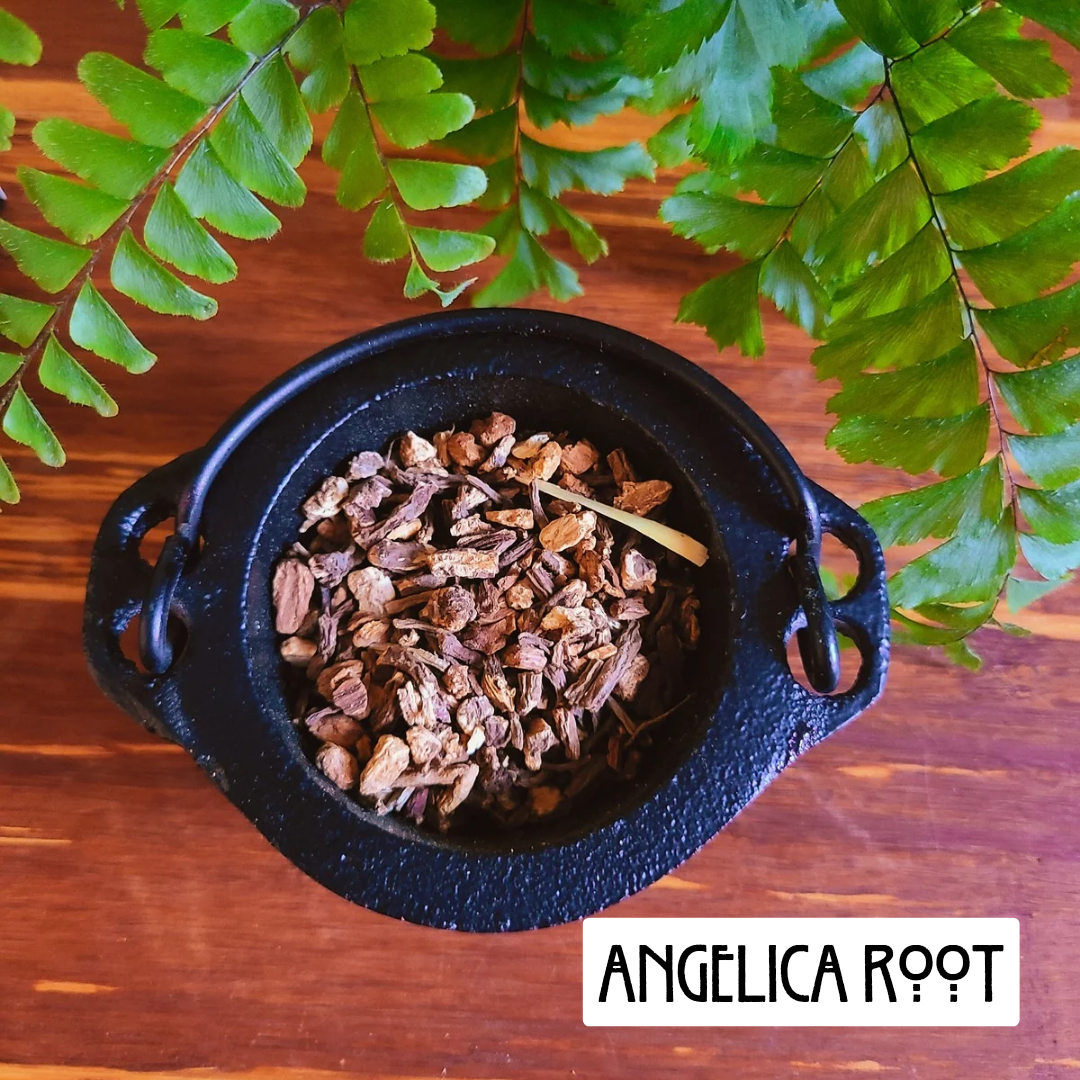 12 Powerful Herbs: Sacred Witch's Protection Kit