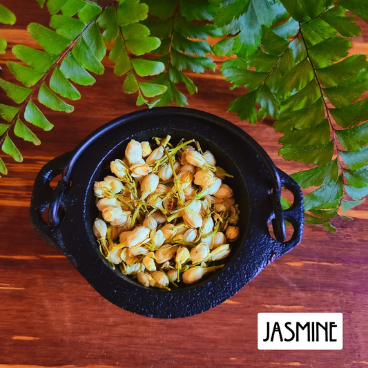 12-Pack Herbs for Love Spells and Rituals | Ignite Romance, Passion, and Connection