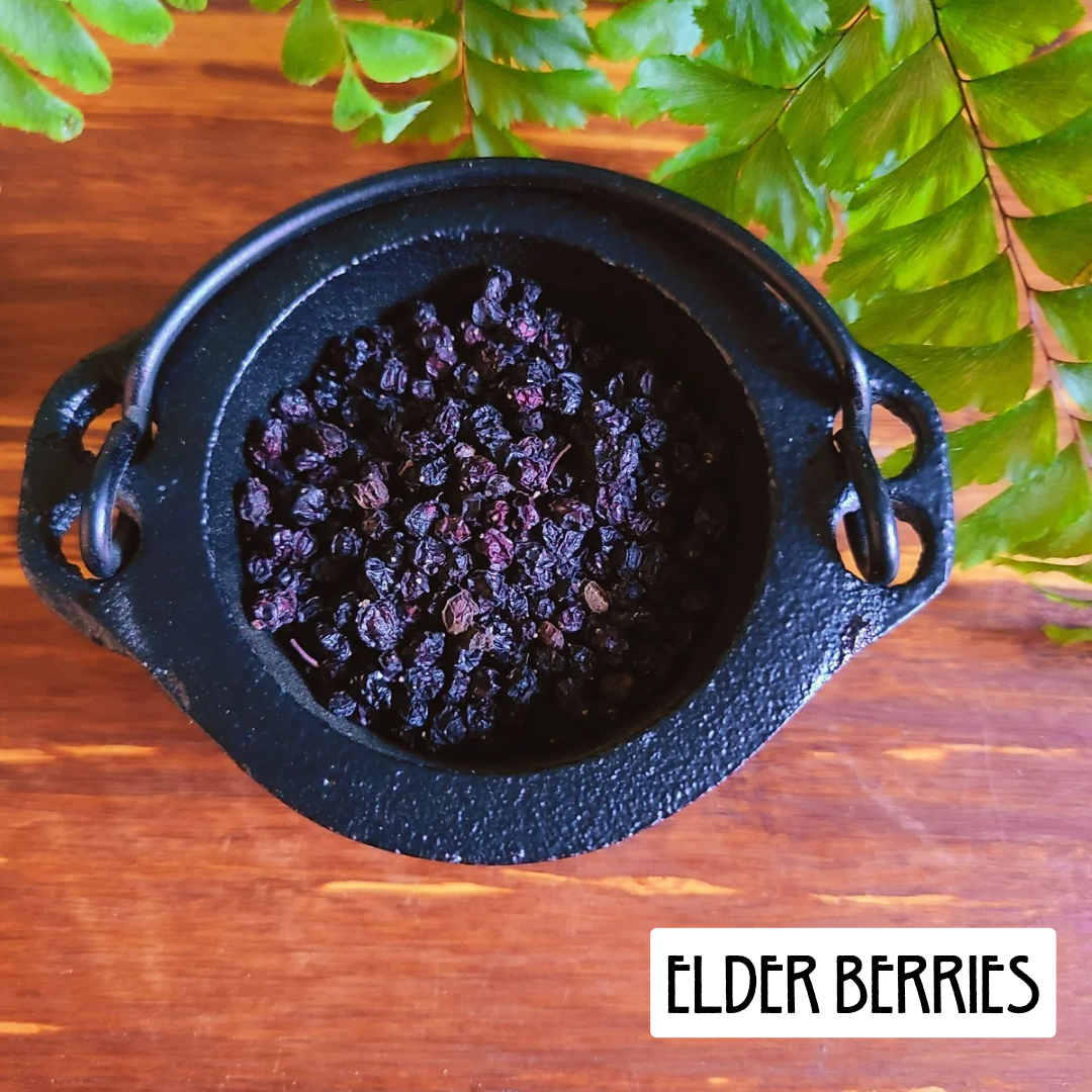 12 Powerful Herbs: Sacred Witch's Protection Kit