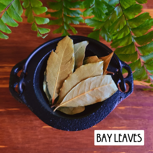 12 Powerful Herbs: Sacred Witch's Protection Kit