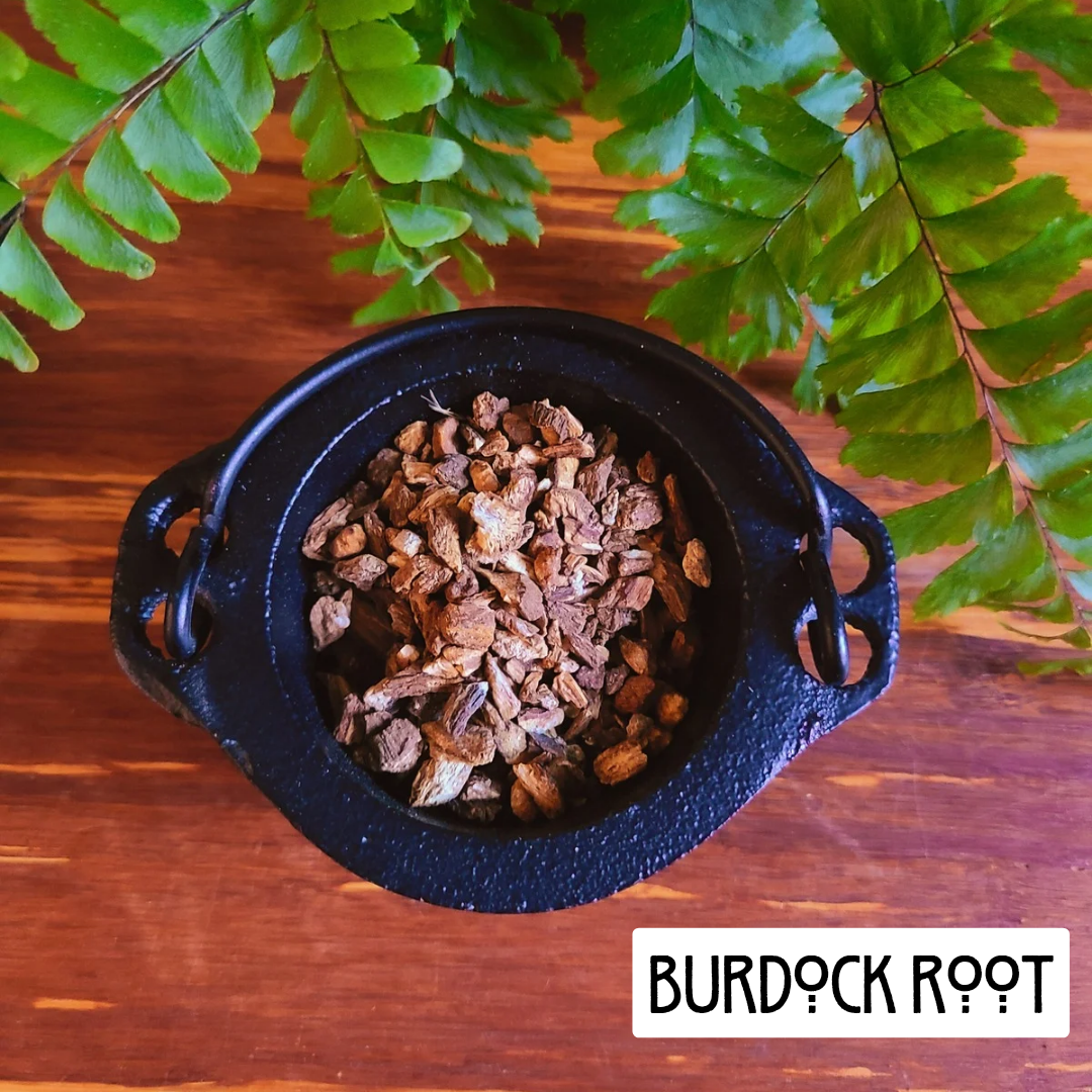 12 Pack Prosperity Herbs for Wealth and Abundance | Spellwork and Rituals