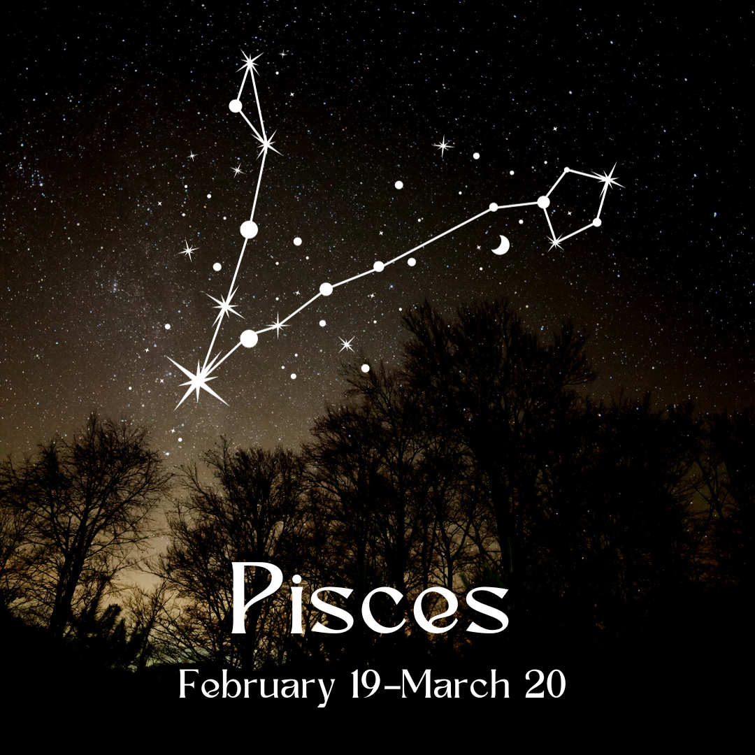 Exploring Pisces: A Constellation Story