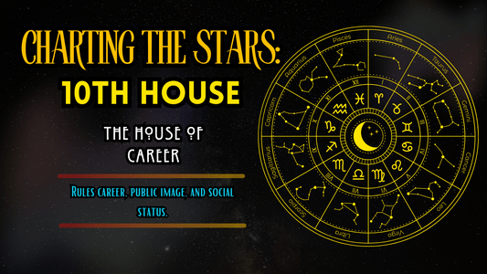 10th House of the Zodiac