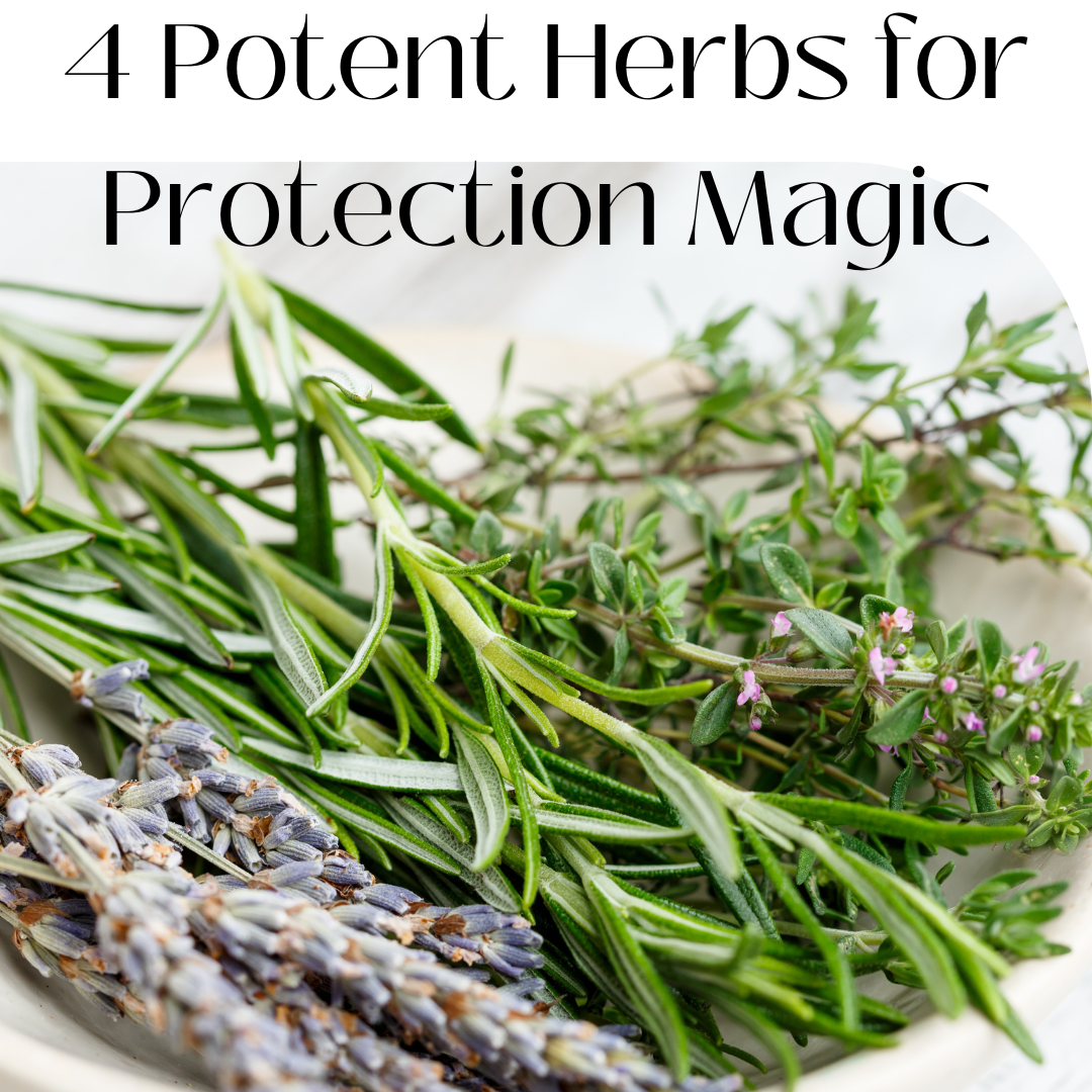 4 Potent Herbs for Protection Magic