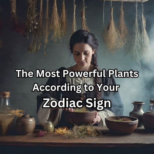 The Most Powerful Plants According to Your Zodiac Sign