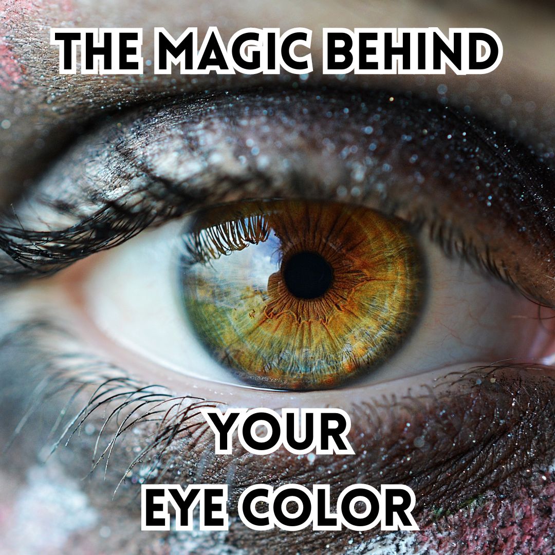 The Magic Behind Your Eye Color