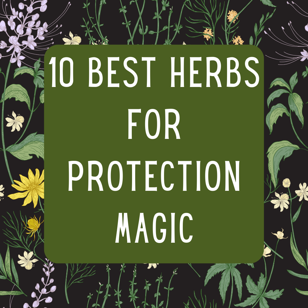 10 Best Herbs for Protection Magic