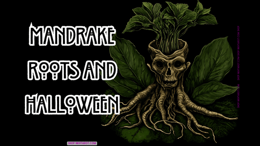 Mandrake Roots and Halloween: The Mystical Connection Between Life, Death, and Magic