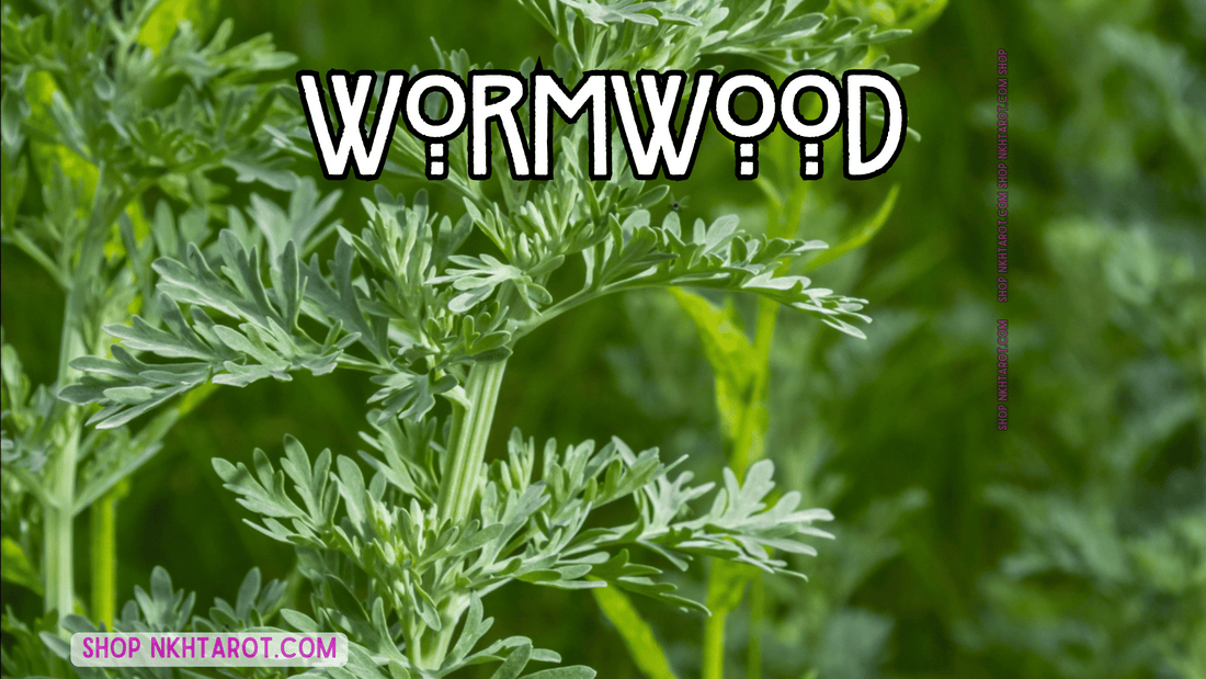 Wormwood: Magical Properties, Ritual Uses, and Spiritual Benefits in Witchcraft