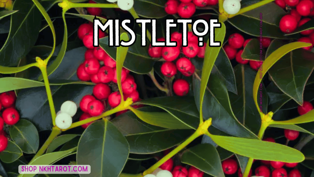 Mistletoe: Magical Properties, Ritual Uses, and Spiritual Benefits in Witchcraft