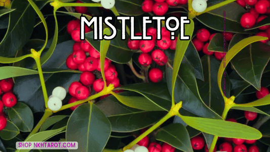 Mistletoe: Magical Properties, Ritual Uses, and Spiritual Benefits in Witchcraft
