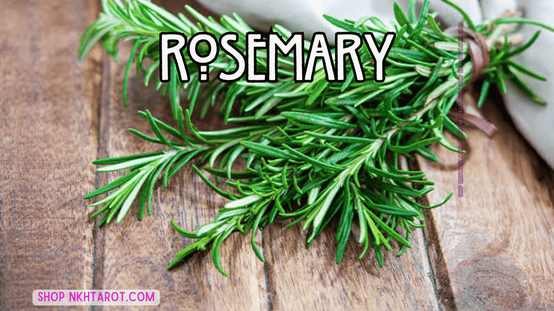 Rosemary: Magical Properties, Ritual Uses, and Spiritual Benefits in Witchcraft
