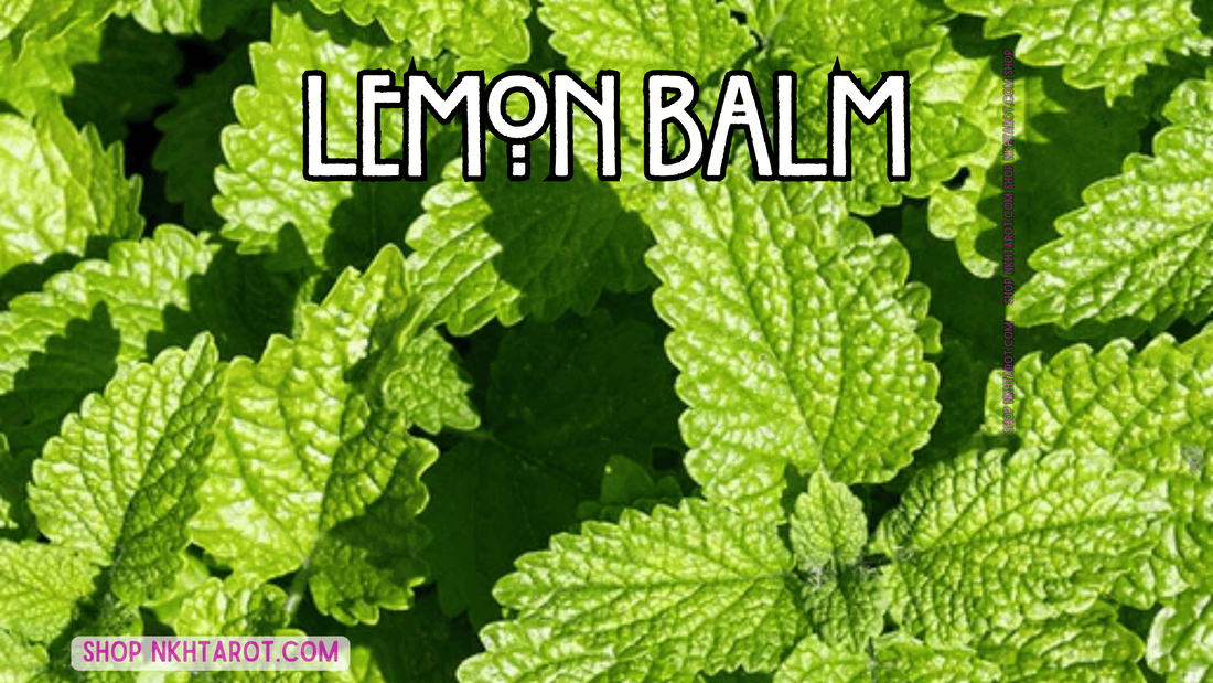 Lemon Balm: Magical Properties, Ritual Uses, and Spiritual Benefits in Witchcraft