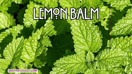Lemon Balm: Magical Properties, Ritual Uses, and Spiritual Benefits in Witchcraft