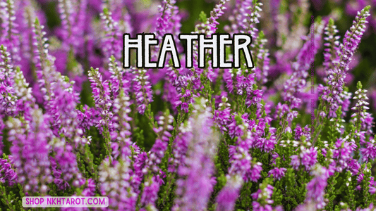Heather: Magical Properties, Ritual Uses, and Spiritual Benefits in Witchcraft
