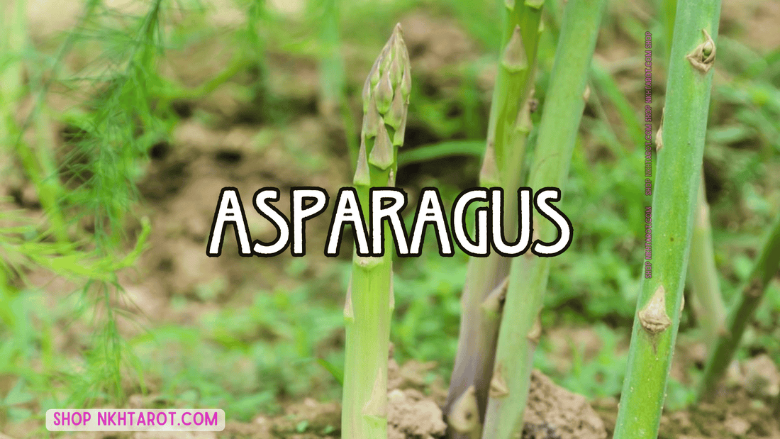 Asparagus: Magical Properties, Ritual Uses, and Spiritual Benefits in Witchcraft