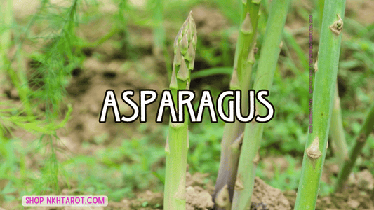 Asparagus: Magical Properties, Ritual Uses, and Spiritual Benefits in Witchcraft