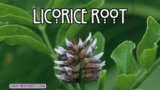 Licorice Root: Magical Properties, Ritual Uses, and Spiritual Benefits in Witchcraft