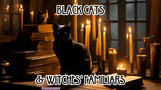 Black Cats and Witches' Familiars: An In-Depth Exploration of Their Mystical Bond