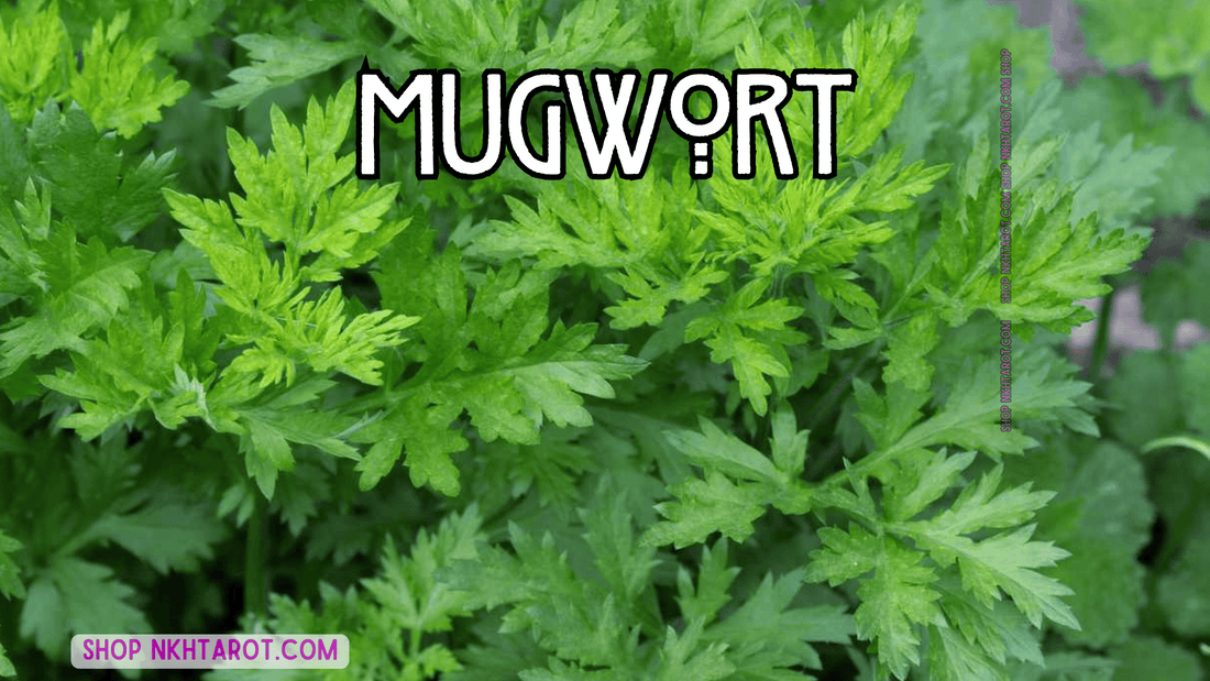 Mugwort: Magical Properties, Ritual Uses, and Spiritual Benefits in Witchcraft
