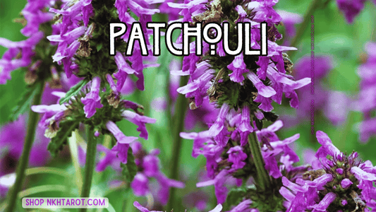 Patchouli: Magical Properties, Ritual Uses, and Spiritual Benefits in Witchcraft
