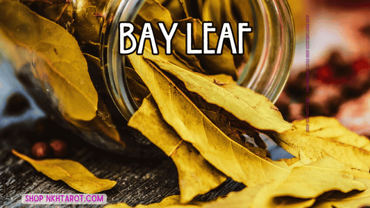 Bay Leaf: Magical Properties, Ritual Uses, and Spiritual Benefits in Witchcraft