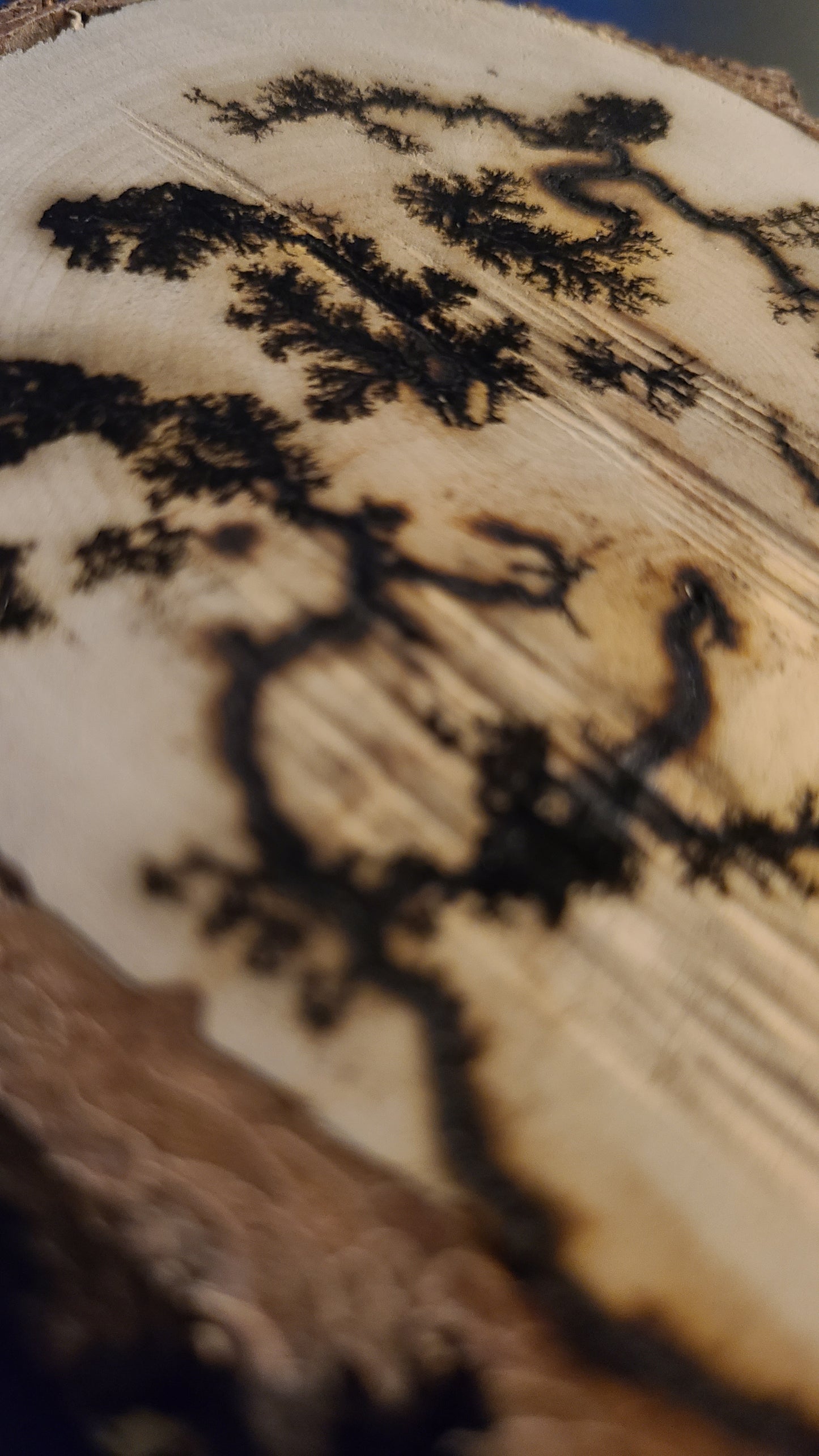 Lichtenberg Wood Burn Art – Handcrafted Fractal Burned Wood Decor – One of a Kind