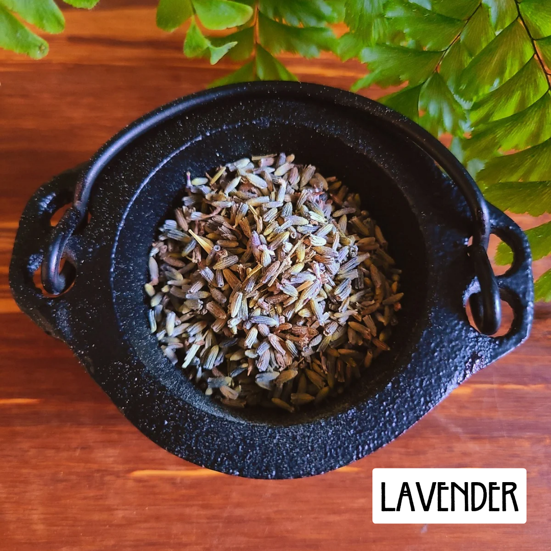 12 Powerful Herbs: Sacred Witch's Protection Kit