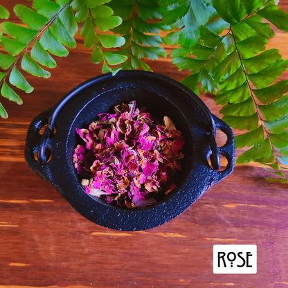 12-Pack Herbs for Love Spells and Rituals | Ignite Romance, Passion, and Connection