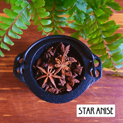 12 Pack Prosperity Herbs for Wealth and Abundance | Spellwork and Rituals
