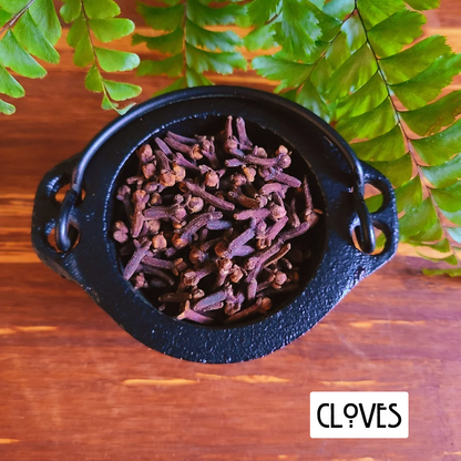 12 Powerful Herbs: Sacred Witch's Protection Kit