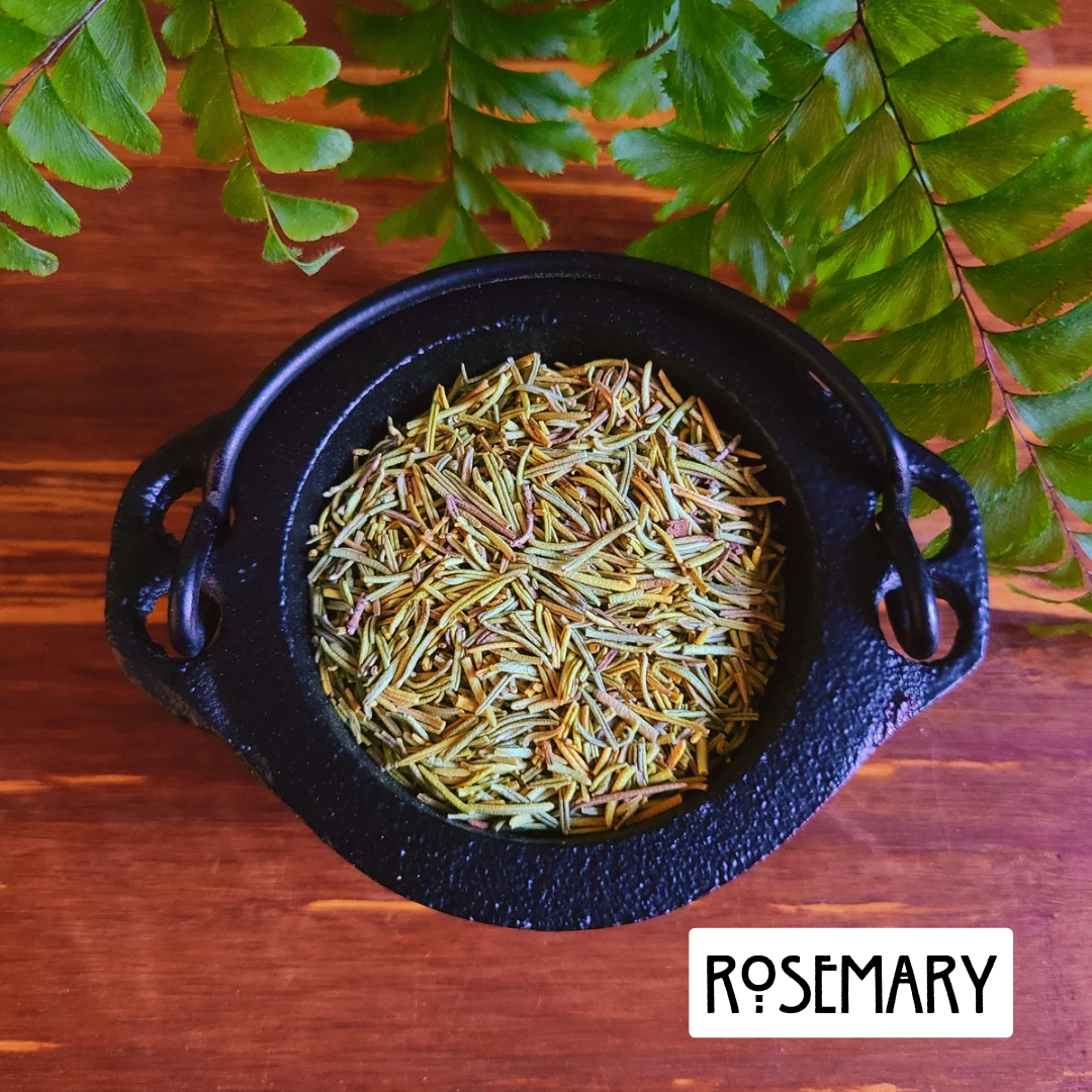 12 Pack Prosperity Herbs for Wealth and Abundance | Spellwork and Rituals