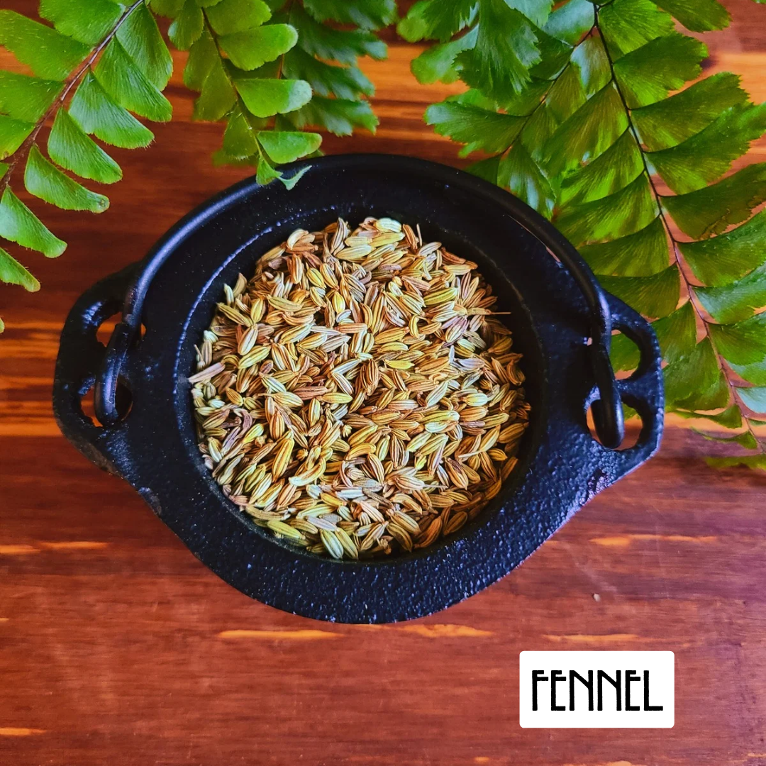 12 Pack Prosperity Herbs for Wealth and Abundance | Spellwork and Rituals