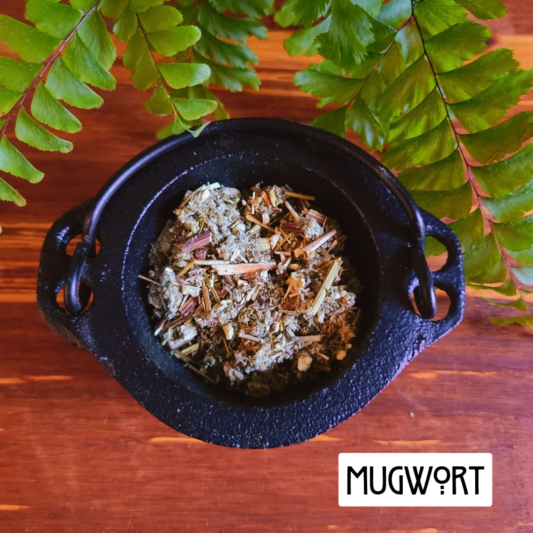 12 Powerful Herbs: Sacred Witch's Protection Kit