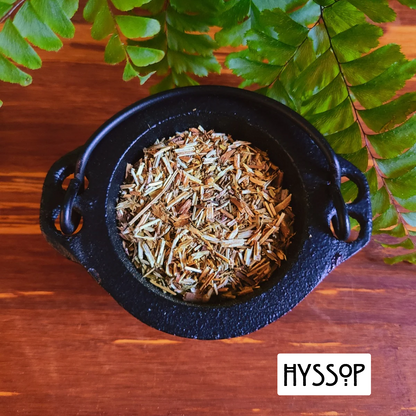 12 Powerful Herbs: Sacred Witch's Protection Kit