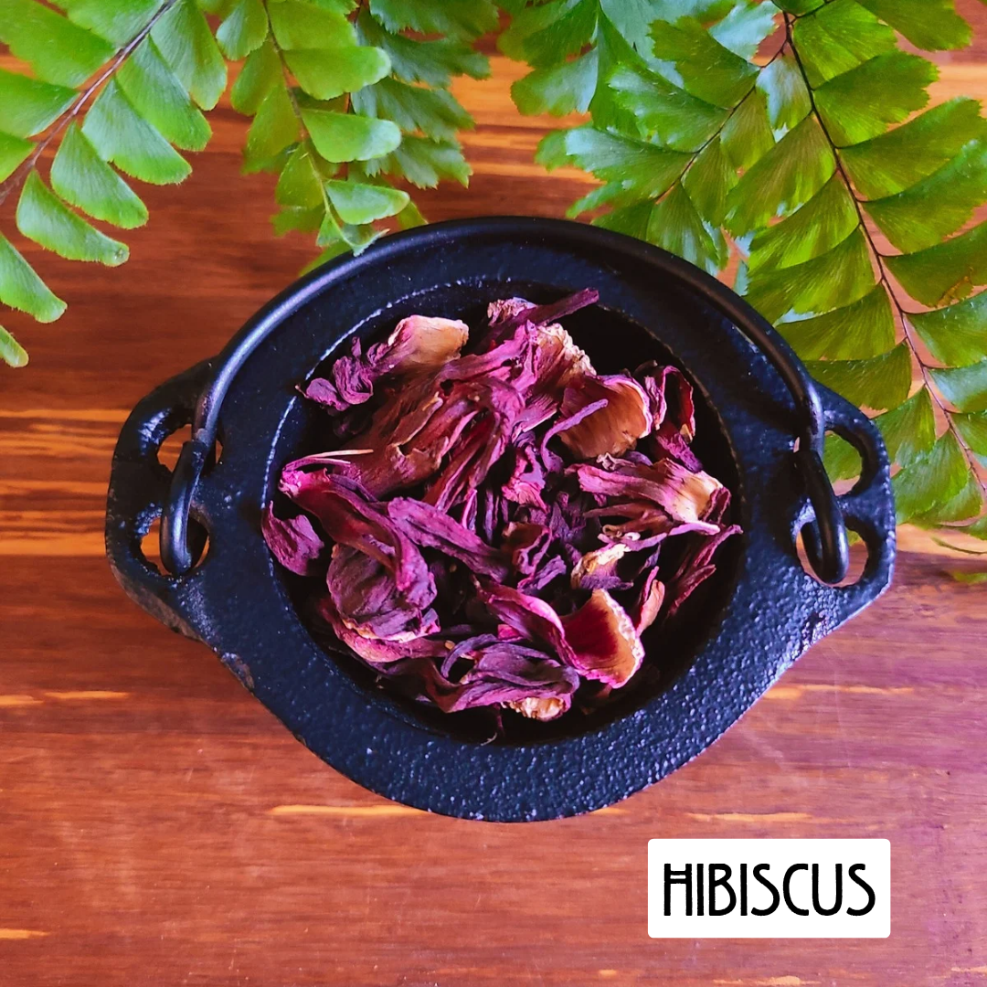 12-Pack Herbs for Love Spells and Rituals | Ignite Romance, Passion, and Connection