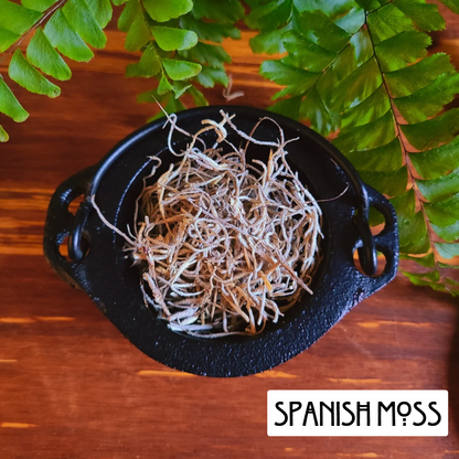 12 Powerful Herbs: Sacred Witch's Protection Kit