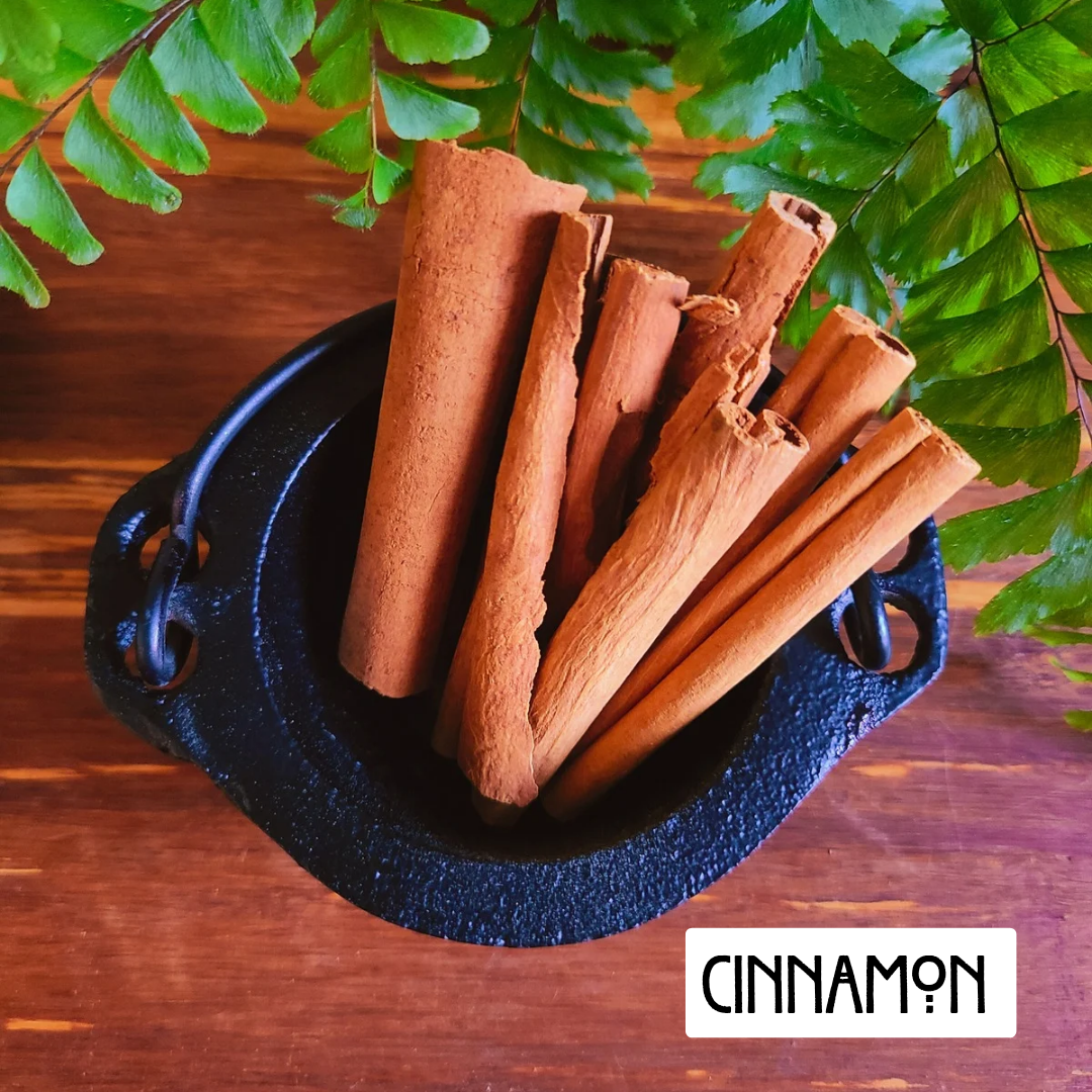 12 Pack Prosperity Herbs for Wealth and Abundance | Spellwork and Rituals