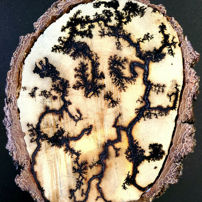 Lichtenberg Wood Burn Art – Handcrafted Fractal Burned Wood Decor – One of a Kind