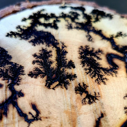 Lichtenberg Wood Burn Art – Handcrafted Fractal Burned Wood Decor – One of a Kind
