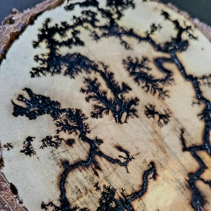 Lichtenberg Wood Burn Art – Handcrafted Fractal Burned Wood Decor – One of a Kind