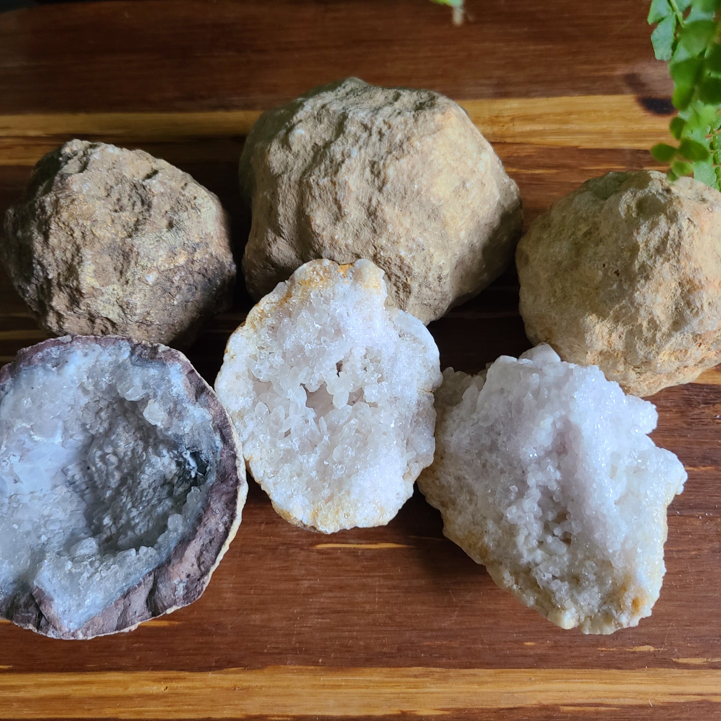 6-Pack of Premium Crackable Geodes with Mythological Story Inserts – Unique Crystal Geodes for Display, Natural Decor, and Spiritual Gift Sets