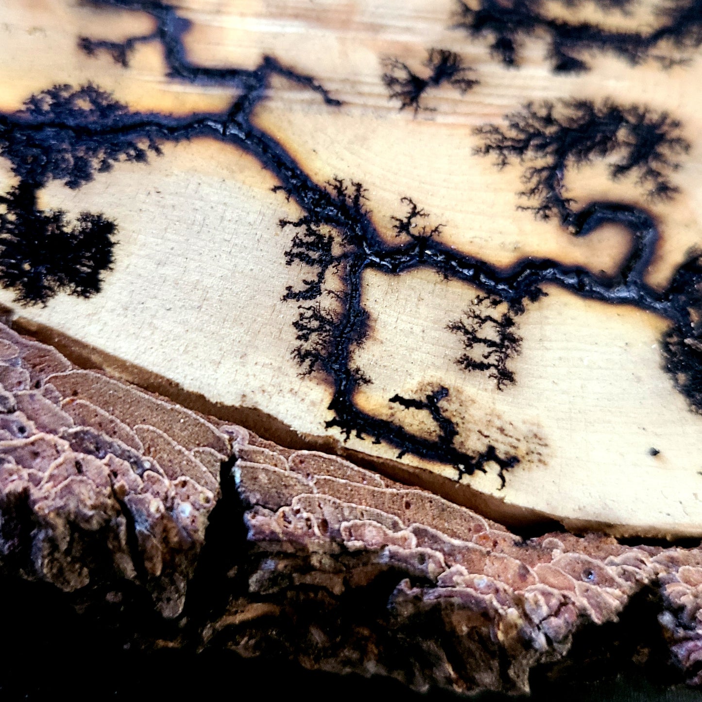 Lichtenberg Wood Burn Art – Handcrafted Fractal Burned Wood Decor – One of a Kind