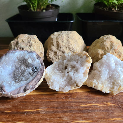 6-Pack of Premium Crackable Geodes with Mythological Story Inserts – Unique Crystal Geodes for Display, Natural Decor, and Spiritual Gift Sets